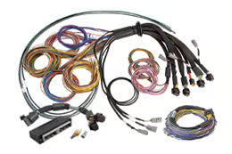 Haltech Wiring Harnesses