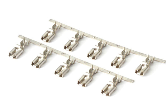 Plug and Pins Only - Bosch EV1 (Square) 2 Pin Junior Timer Female Connector