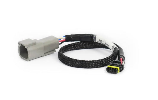 CAN Adaptor Loom DTM-4 to Molex Mizu-P25 - Suits Holley
